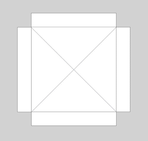 10 x 10 Custom Canopy Tent